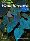 JOURNAL OF PLANT RESEARCH杂志封面